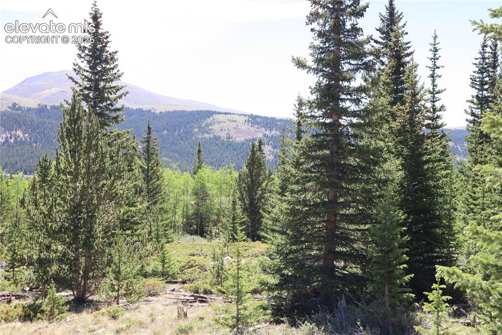 Image 12 of 26: View