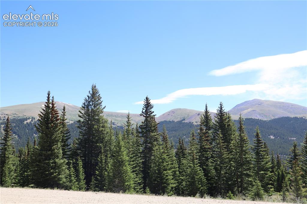 Image 13 of 26: View