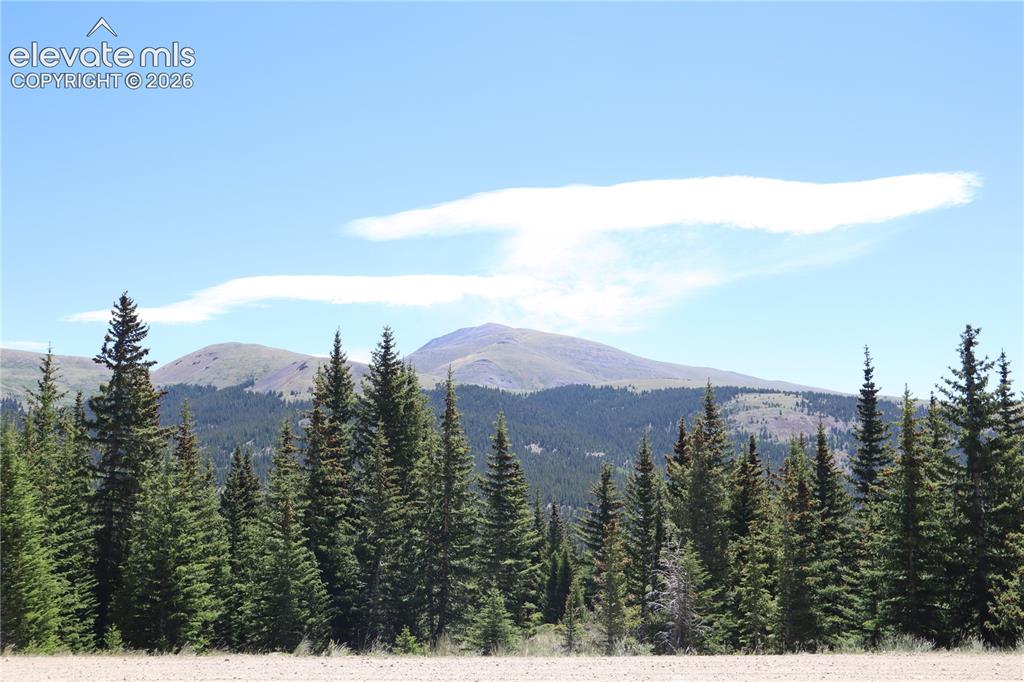 Image 14 of 26: View