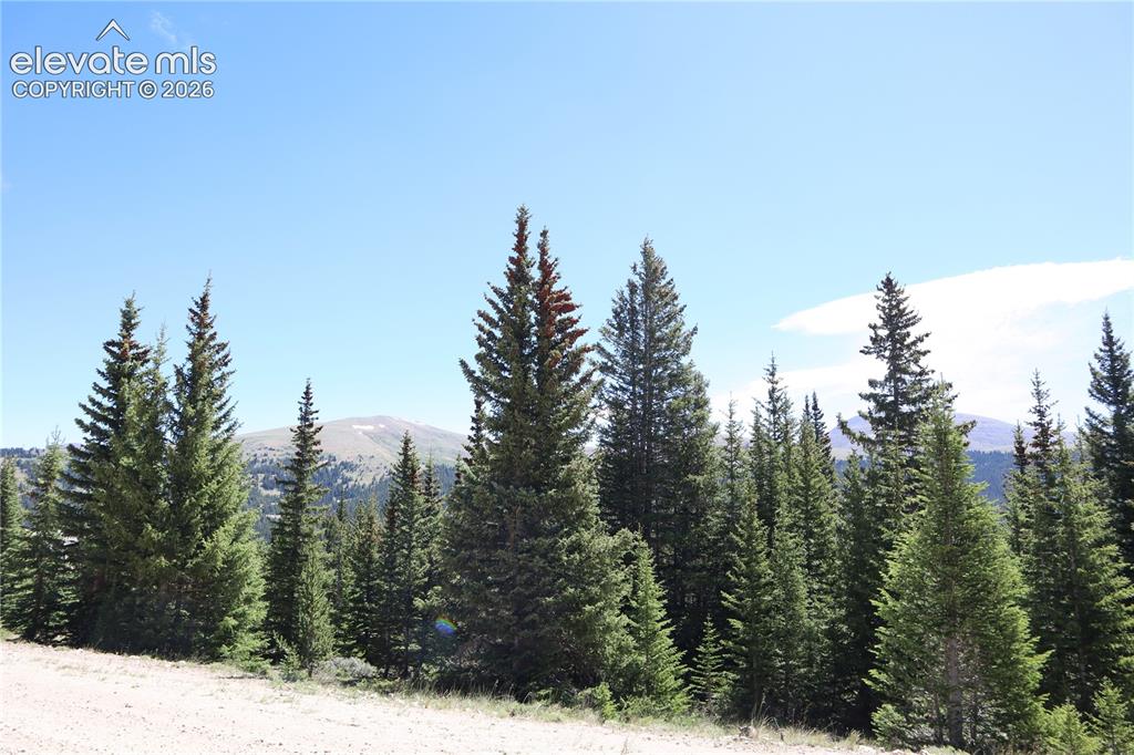 Image 7 of 26: View