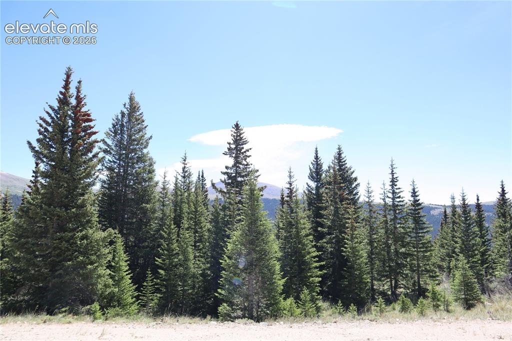 Image 8 of 26: View