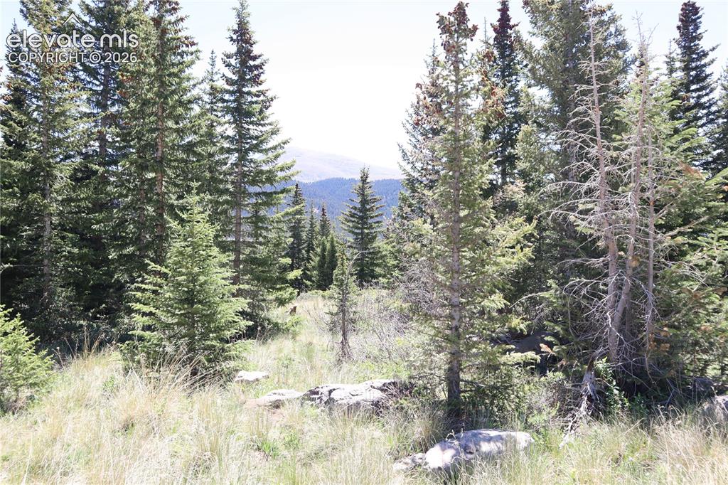 Image 9 of 26: Other