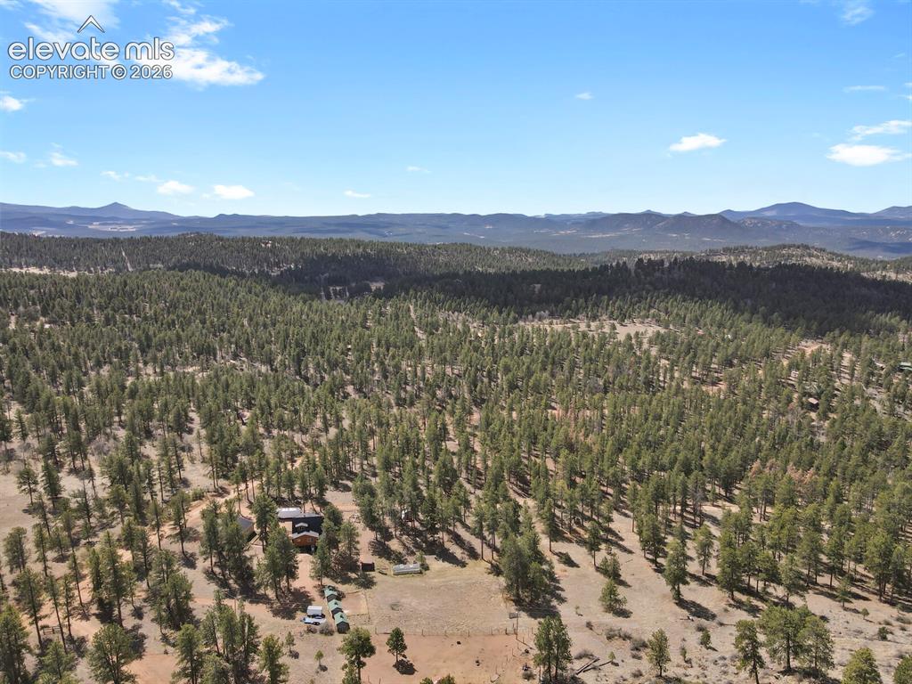 Image 38 of 46: Aerial View