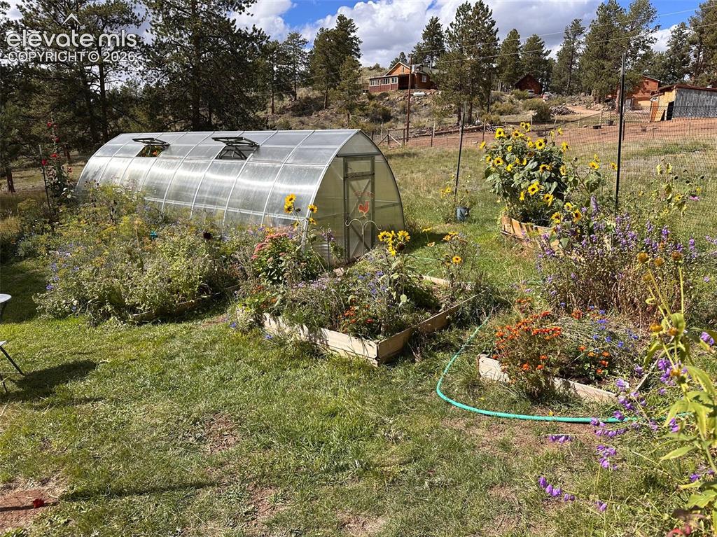 Image 44 of 46: Yard