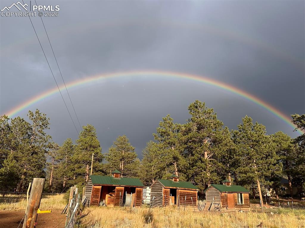 Image 46 of 46: Other