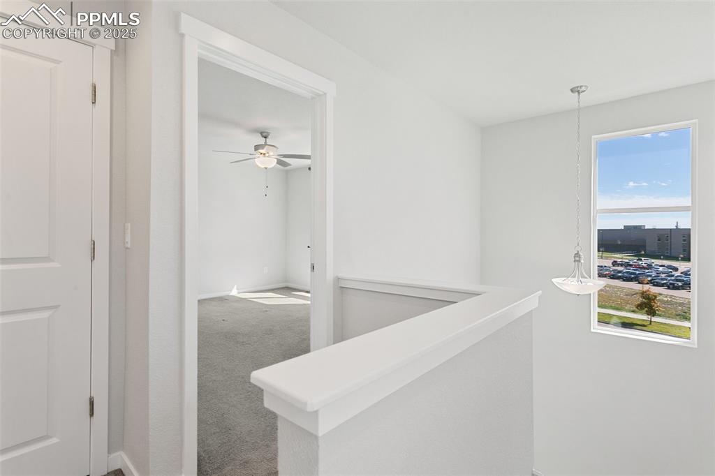 Image 17 of 40: Other