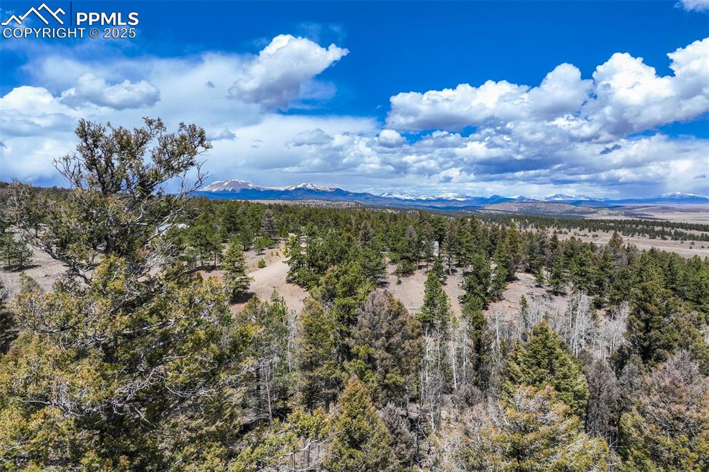 Image 14 of 20: Aerial View