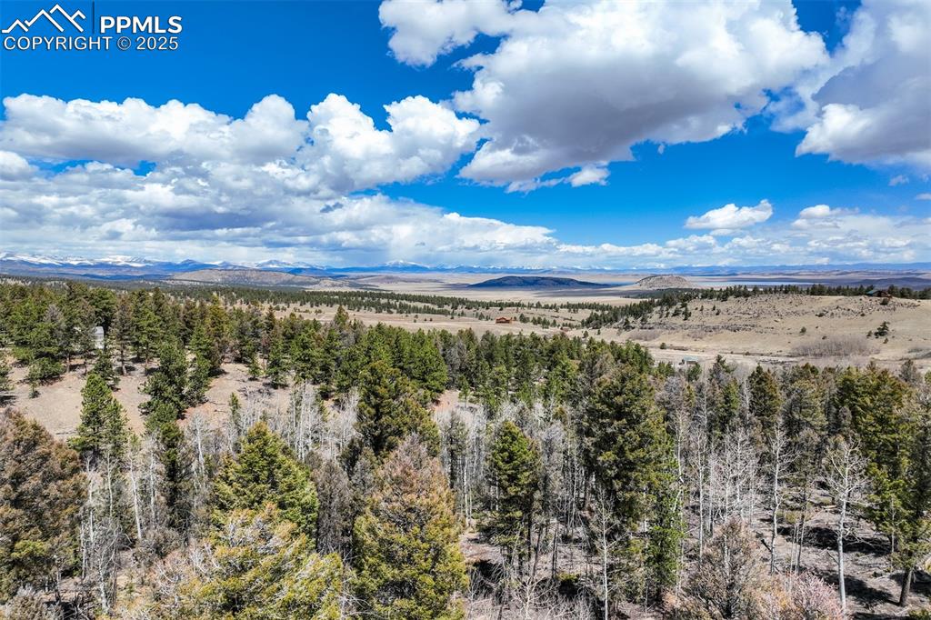 Image 15 of 20: Aerial View