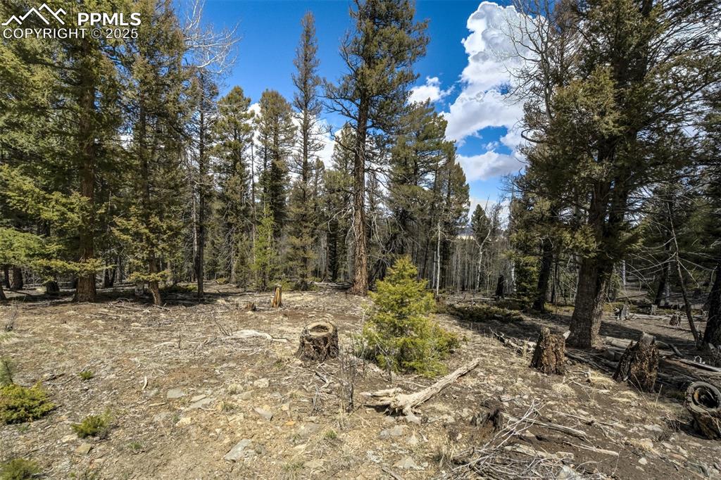 Image 17 of 20: Other