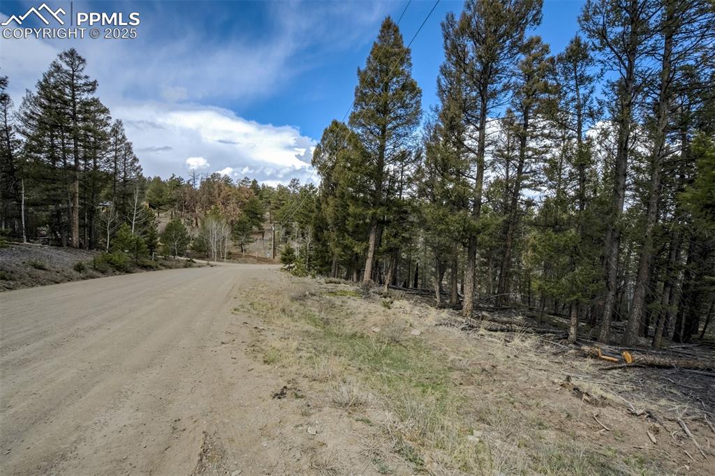 Image 19 of 20: Community