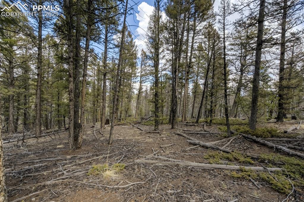 Image 20 of 20: Other