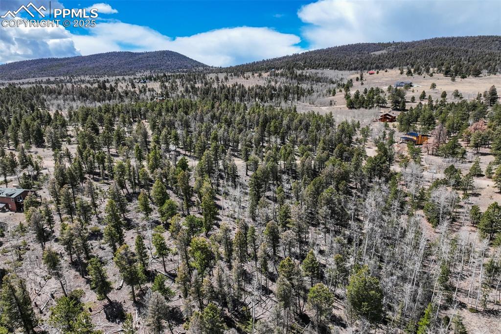 Image 8 of 20: Aerial View