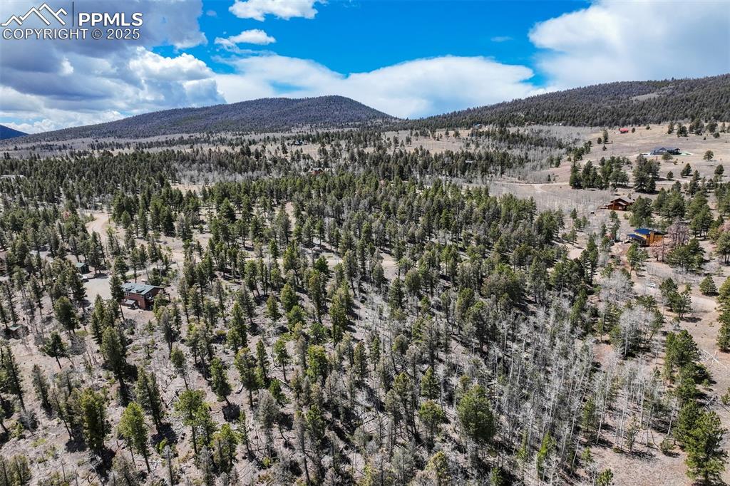 Image 9 of 20: Aerial View