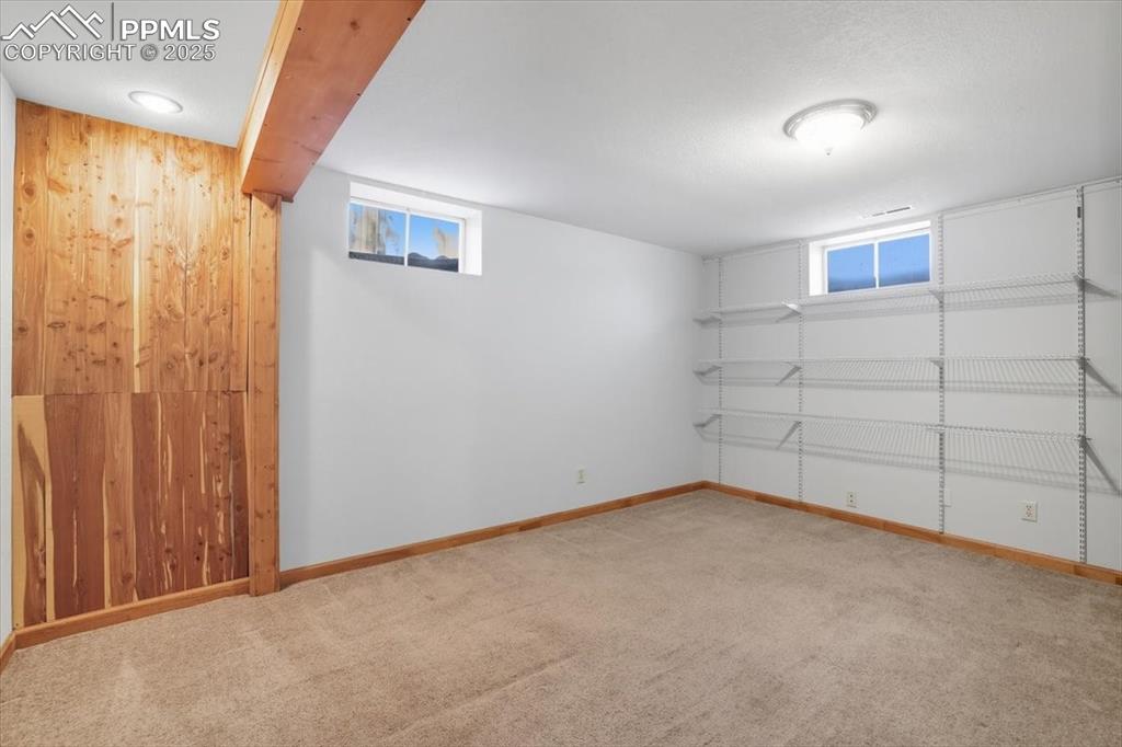 Image 19 of 30: Below grade area featuring wood walls and light carpet