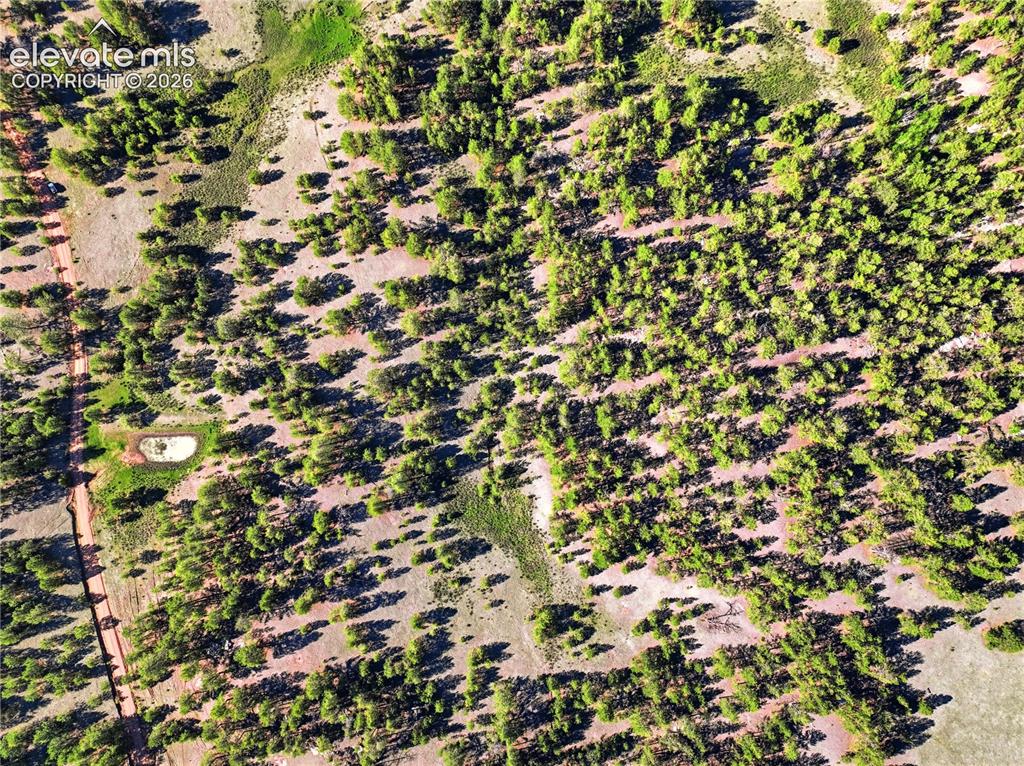 Image 12 of 19: Aerial perspective featuring extensive tree coverage, varied natural terrai