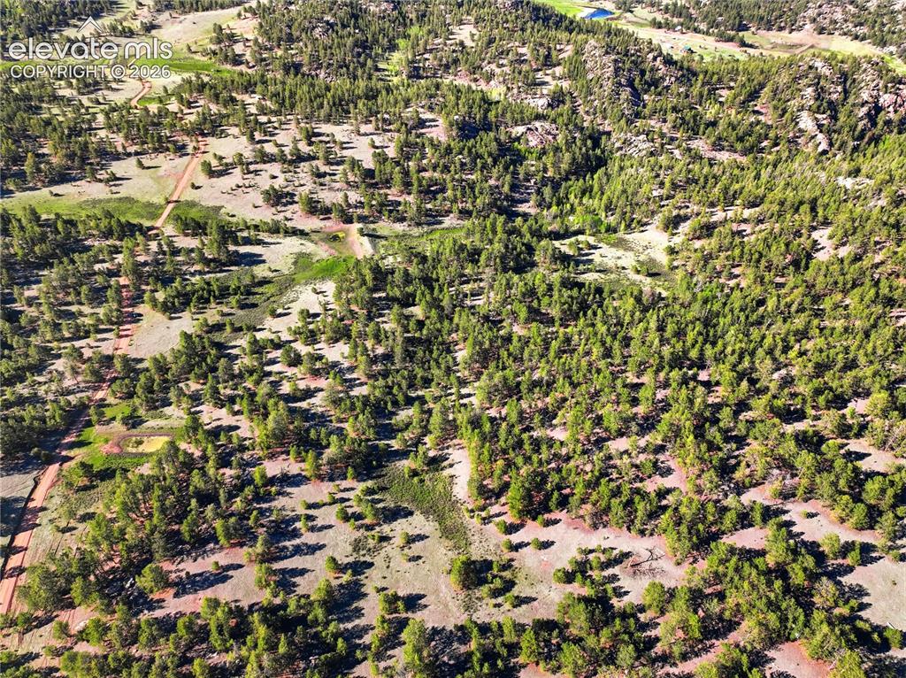 Image 13 of 19: Expansive aerial landscape featuring a dense forest of evergreen trees and 