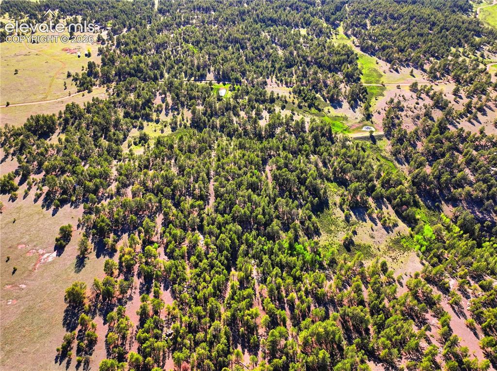 Image 14 of 19: Extensive wooded acreage with varied terrain