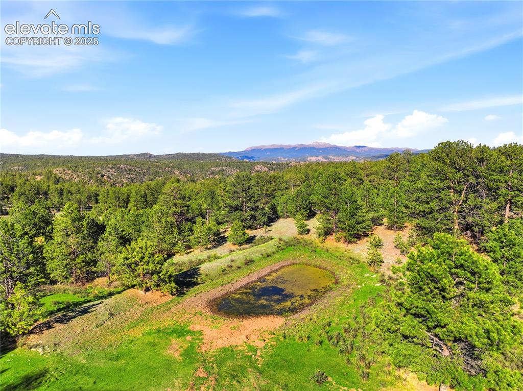 Image 16 of 19: Natural landscape featuring a tranquil pond surrounded by lush greenery and
