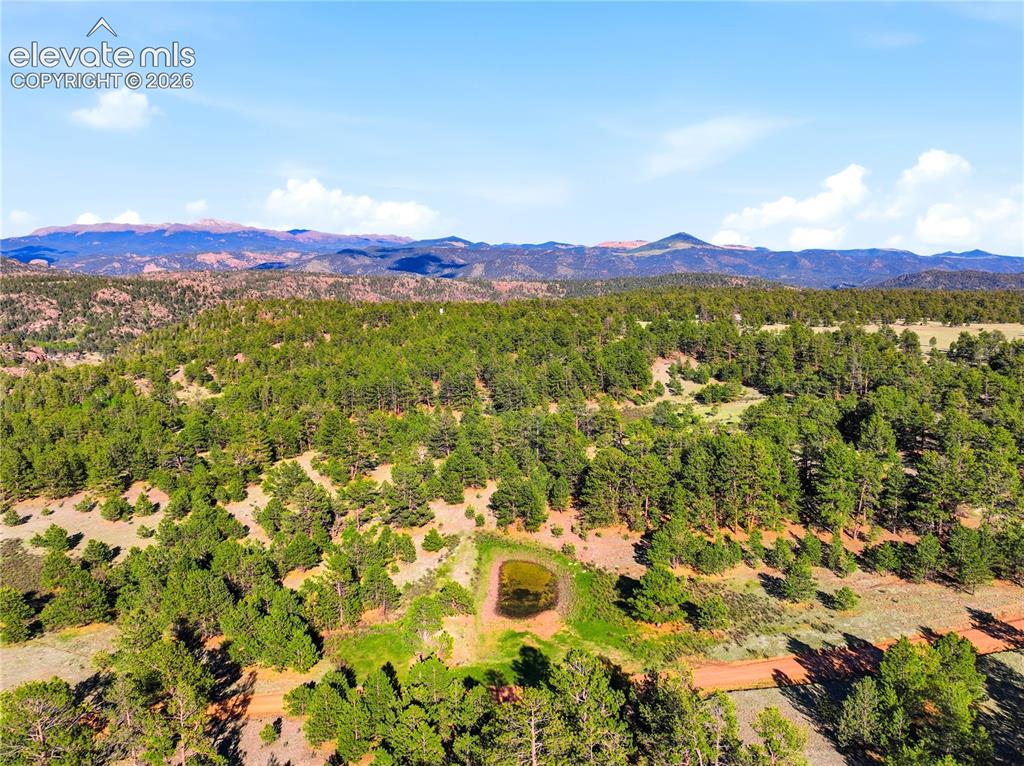 Image 17 of 19: Expansive wooded landscape featuring a natural pond, varied topography, mat