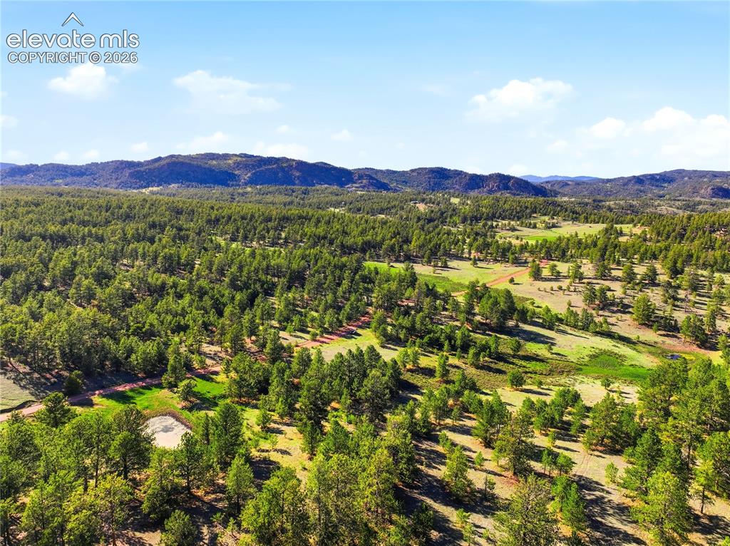 Image 19 of 19: Expansive acreage featuring dense evergreen forests and open grassy meadows