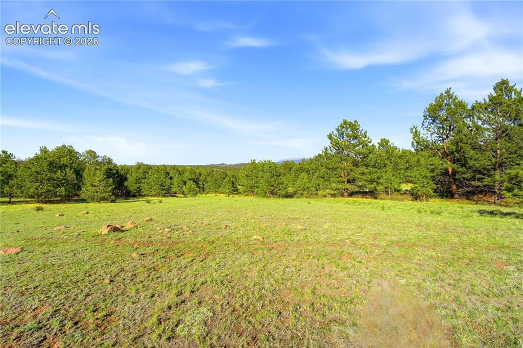 Image 3 of 19: Expansive open space featuring a natural grass field and scattered boulders