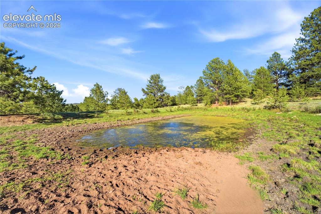 Image 5 of 19: Natural pond surrounded by a blend of grass and exposed earth