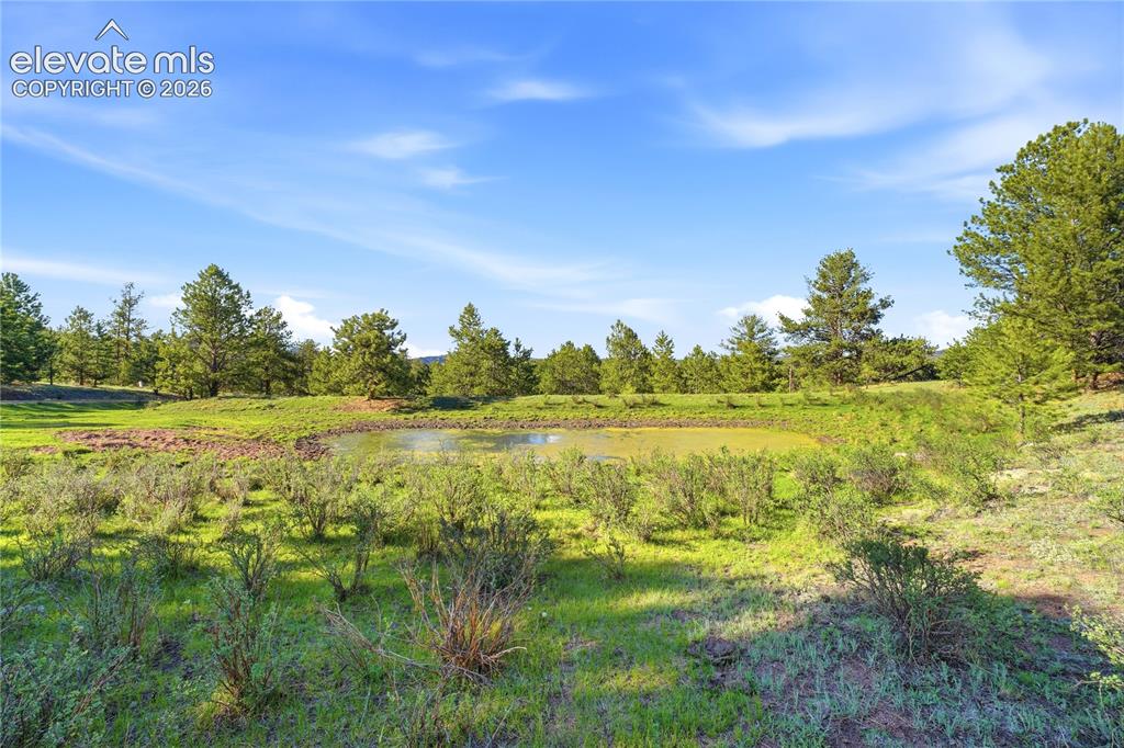 Image 6 of 19: Natural landscape featuring a tranquil pond, surrounded by lush green folia