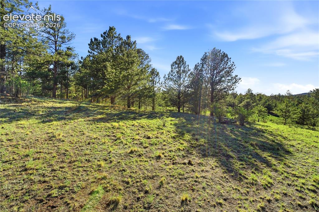 Image 9 of 19: Other