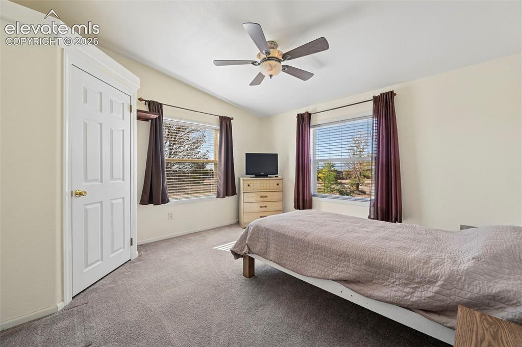 Image 32 of 50: Neutral-toned room featuring wall-to-wall carpeting, two dual-pane windows,