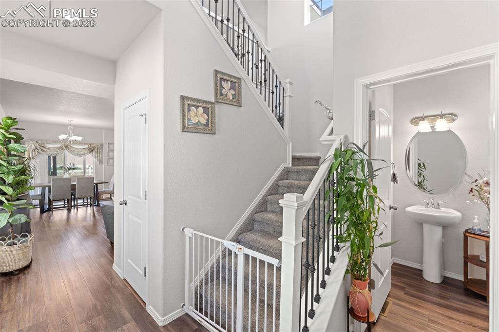 Image 6 of 49: Other