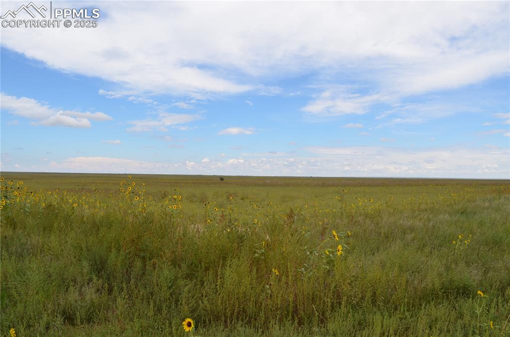 Image 3 of 9: View of local wilderness with rural landscape