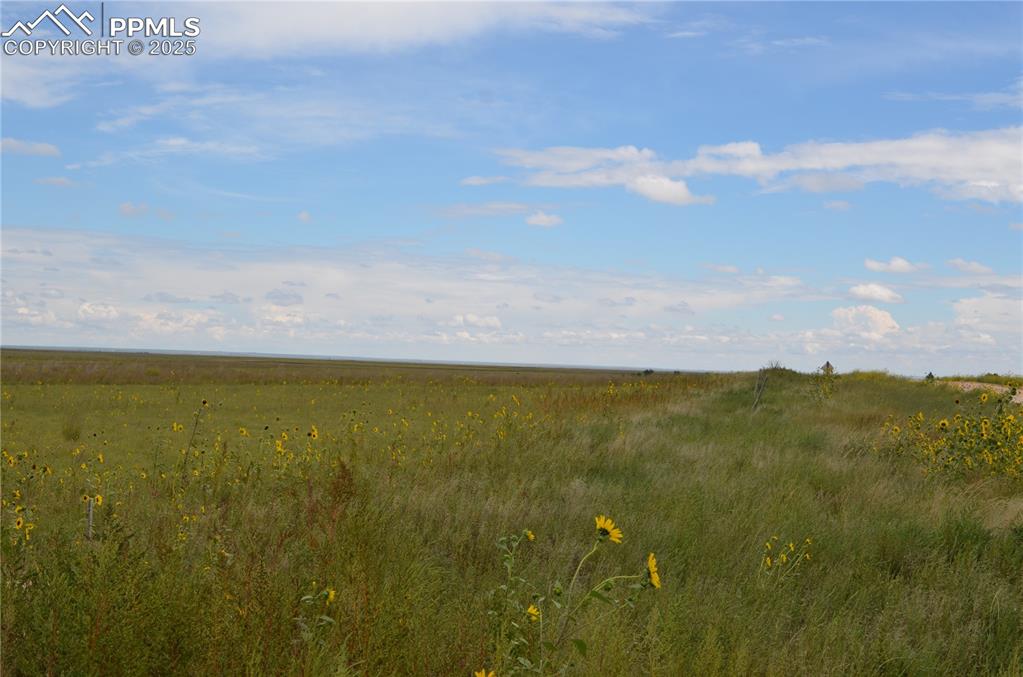 Image 4 of 9: View of local wilderness featuring rural landscape