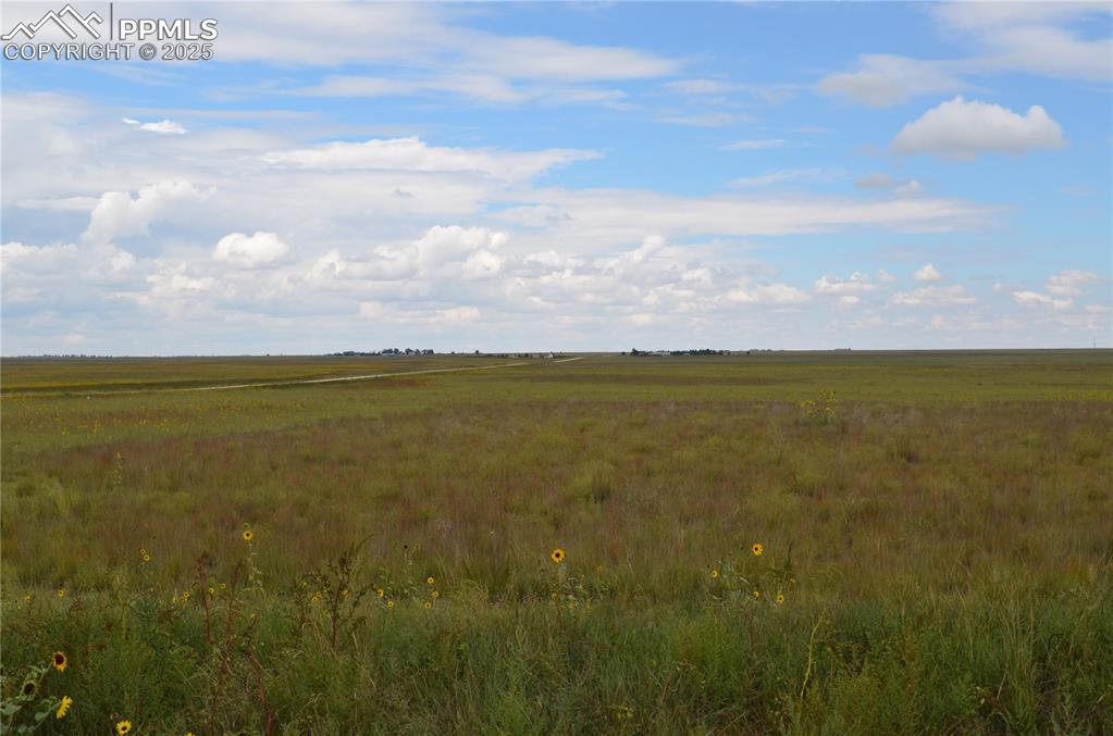 Image 6 of 9: View of undeveloped land with rural landscape
