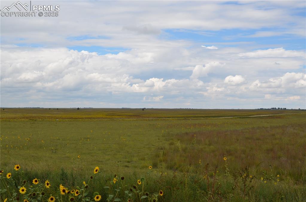 Image 7 of 9: View of undeveloped land with rural landscape