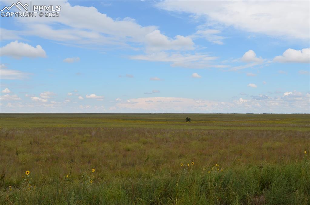 Image 8 of 9: View of undeveloped land featuring rural landscape