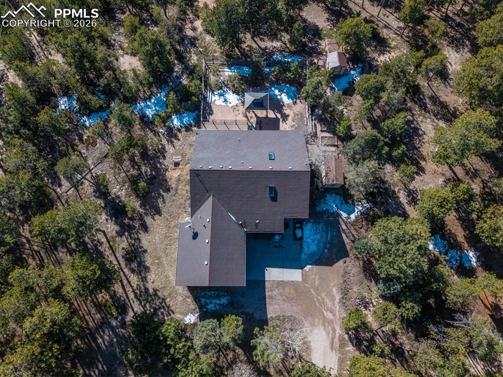 Image 8 of 50: Beautifully situated home amongst the trees