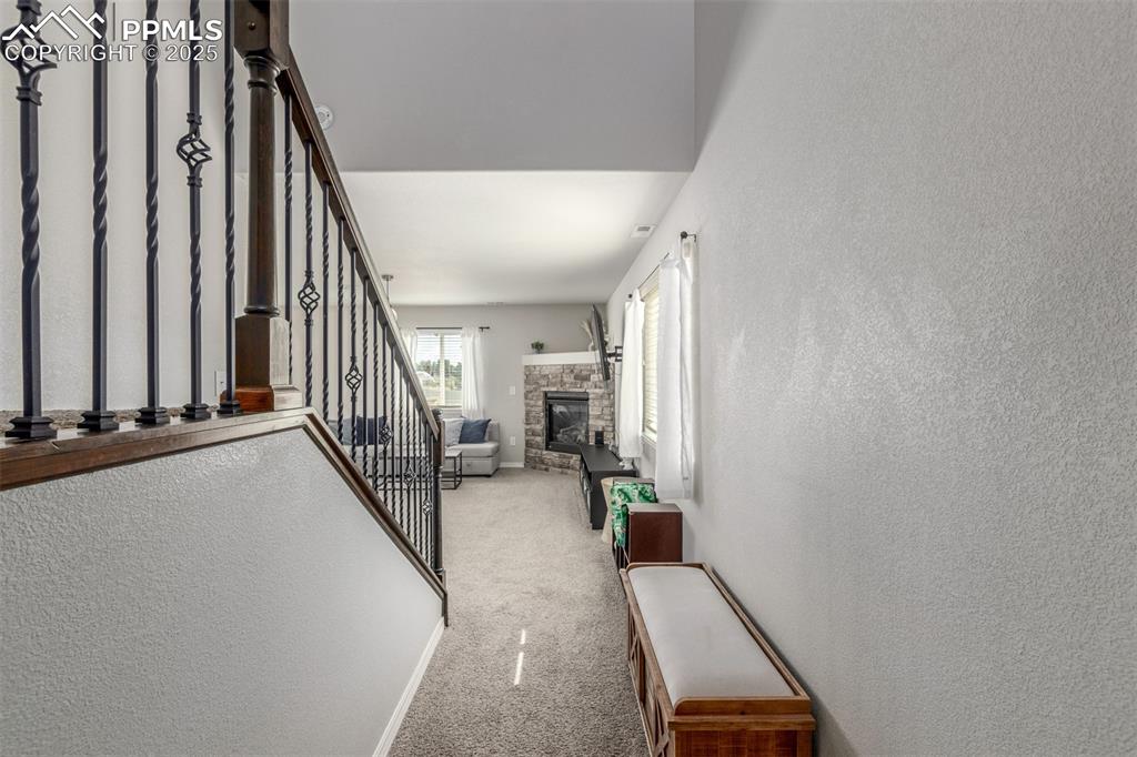 Image 8 of 40: Other