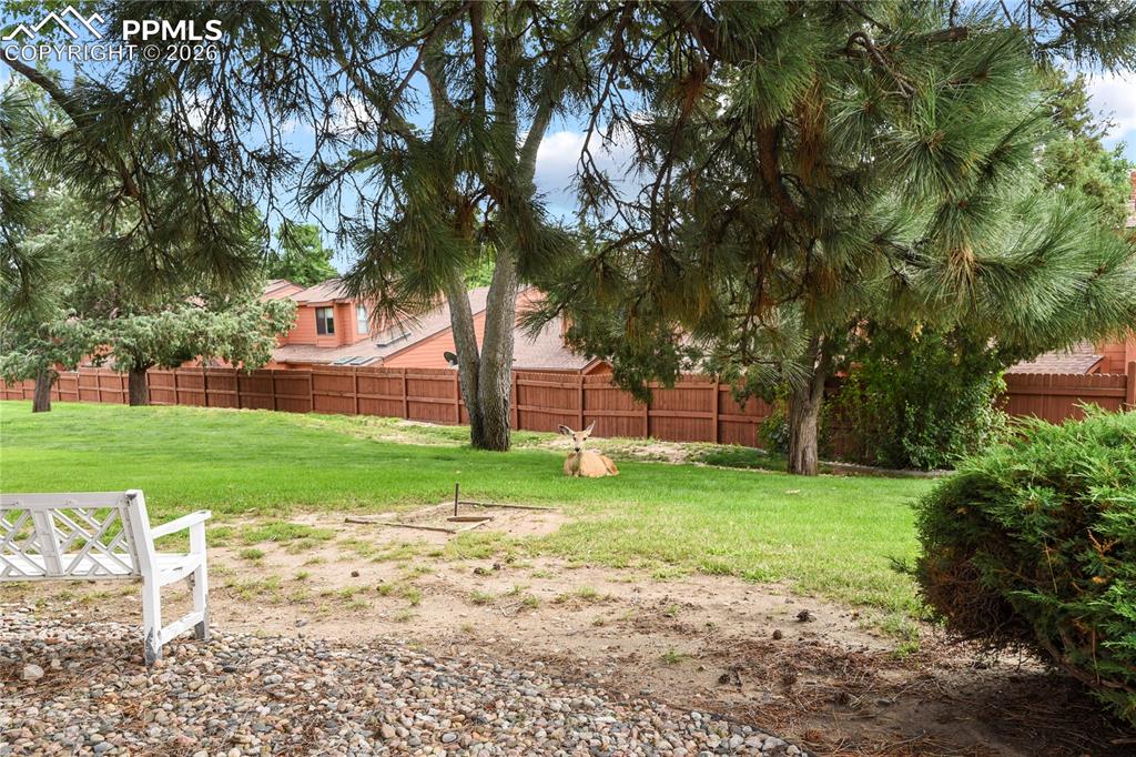 Image 20 of 31: Community