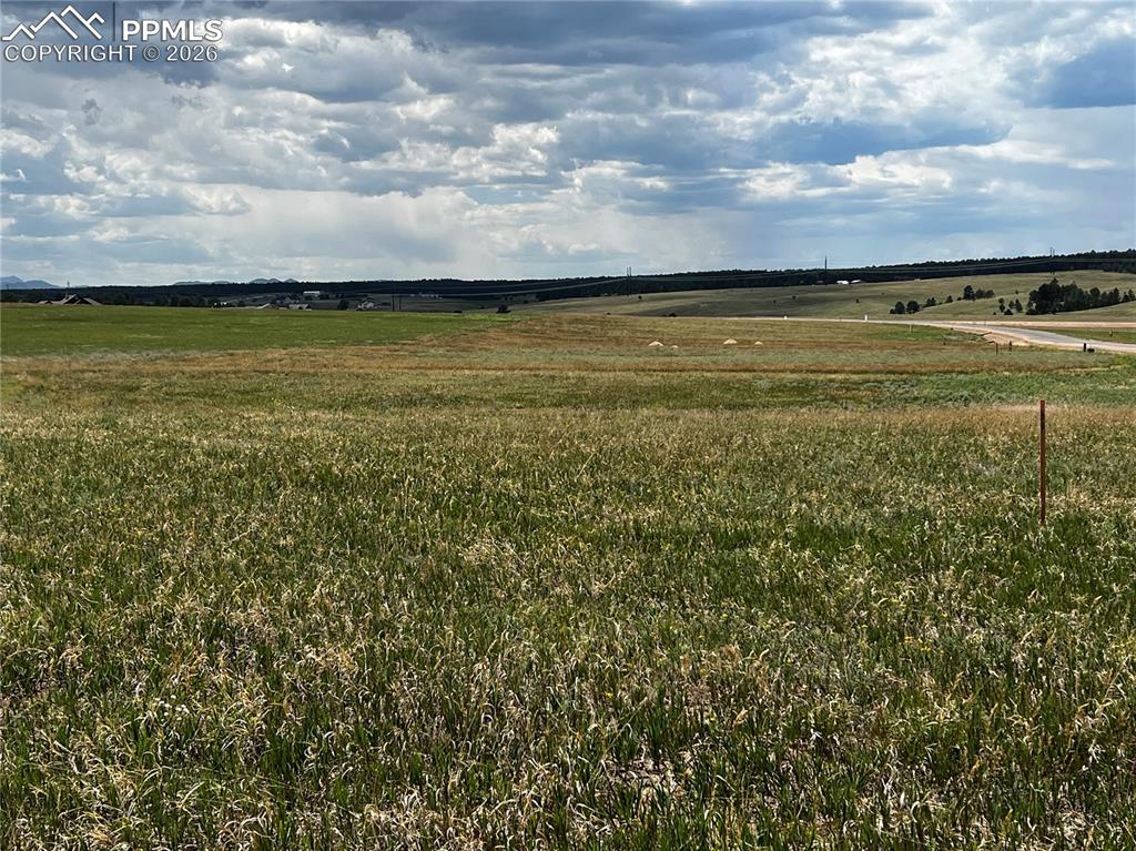 Image 10 of 21: North Views