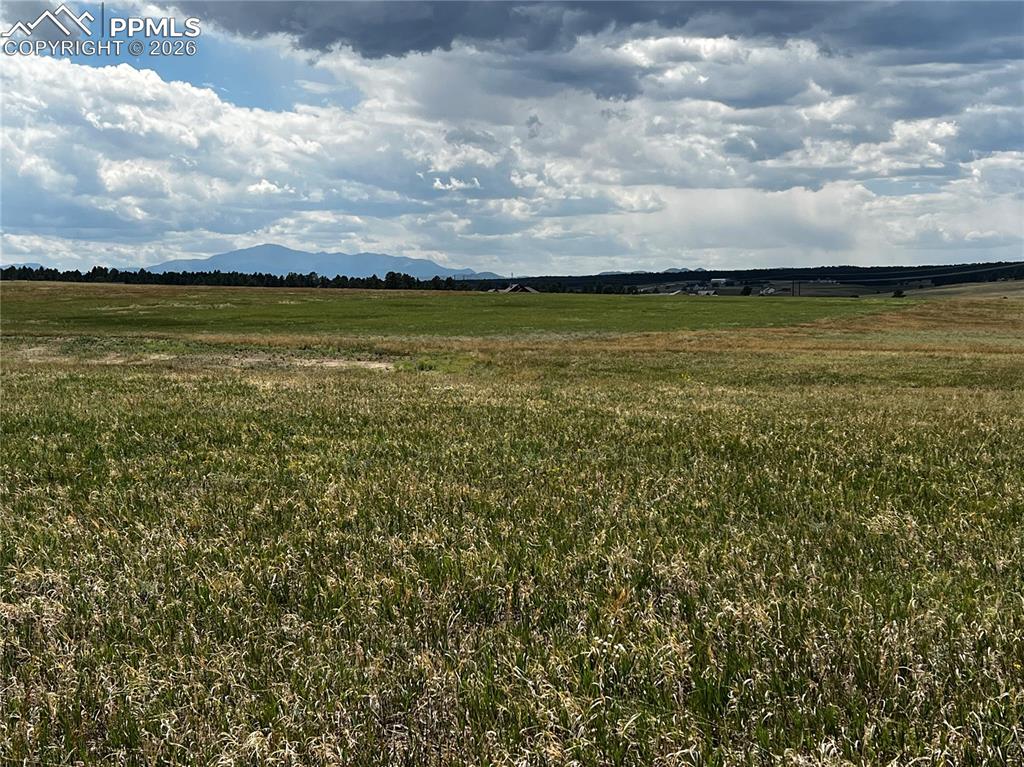 Image 11 of 21: No Description Available