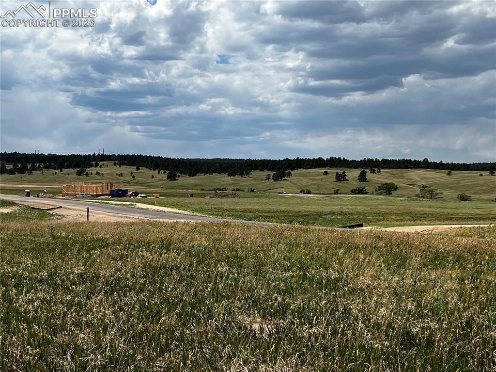 Image 14 of 21: No Description Available