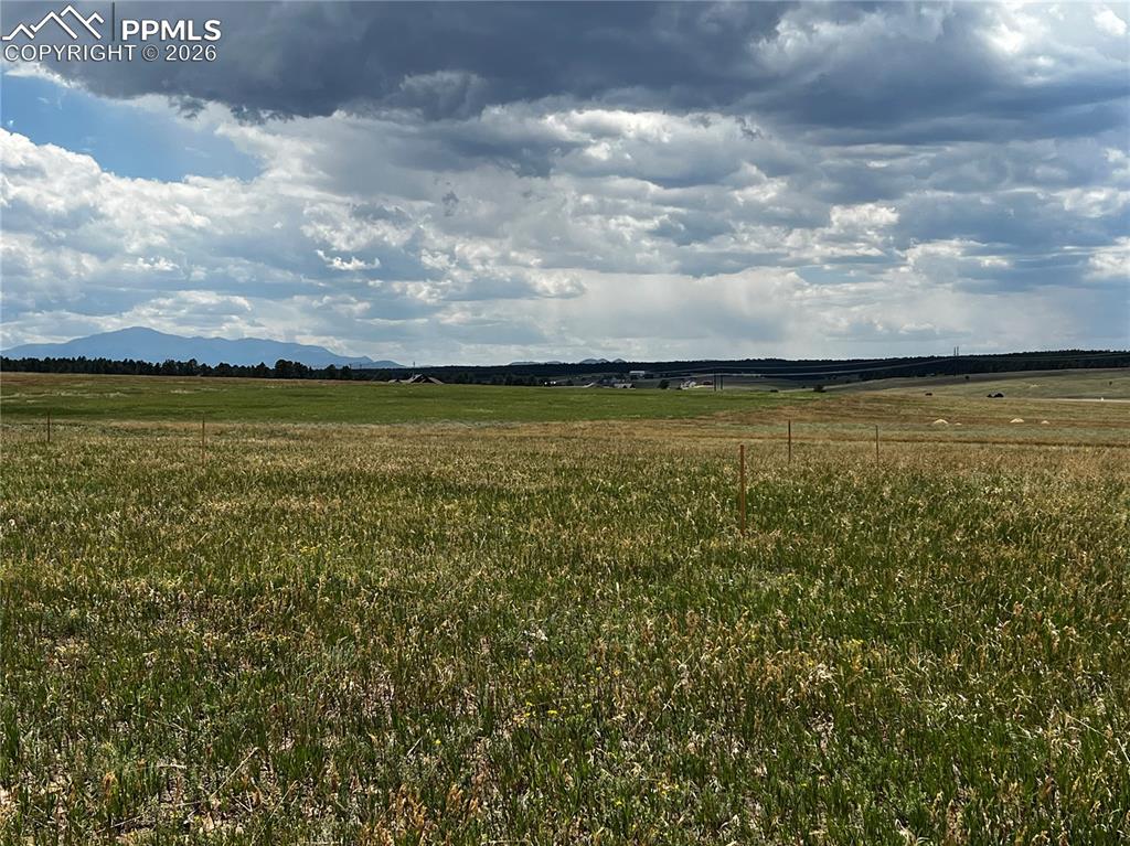 Image 8 of 21: No Description Available