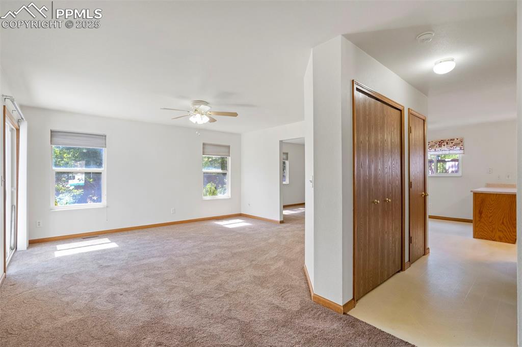 Image 8 of 50: Other