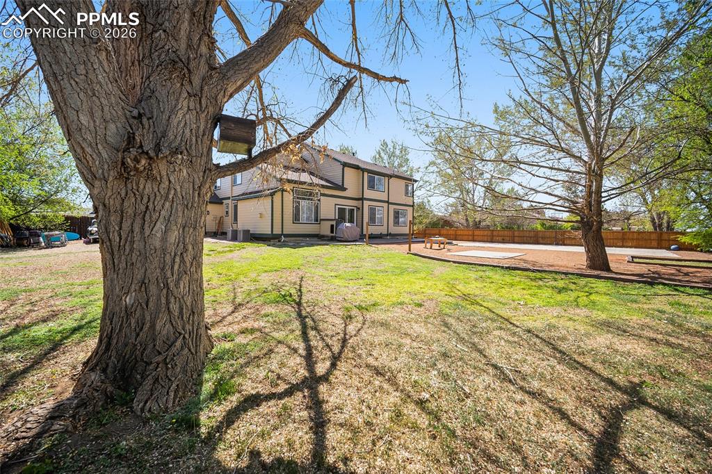 Image 40 of 50: Other