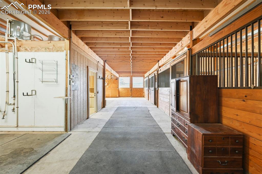 Image 15 of 46: Stable