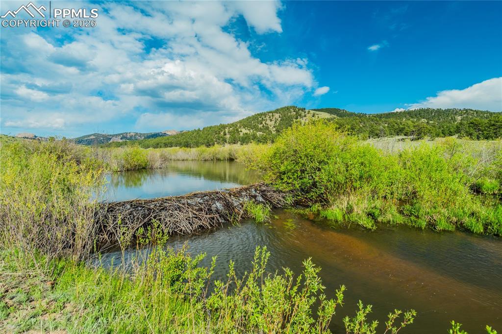 Image 39 of 46: View