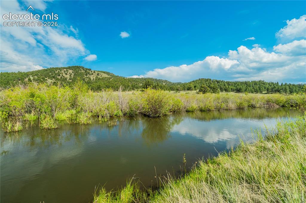 Image 7 of 46: View