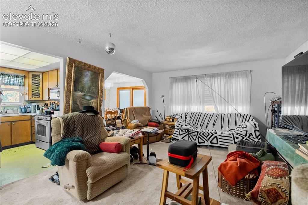 Image 12 of 36: Living Room
