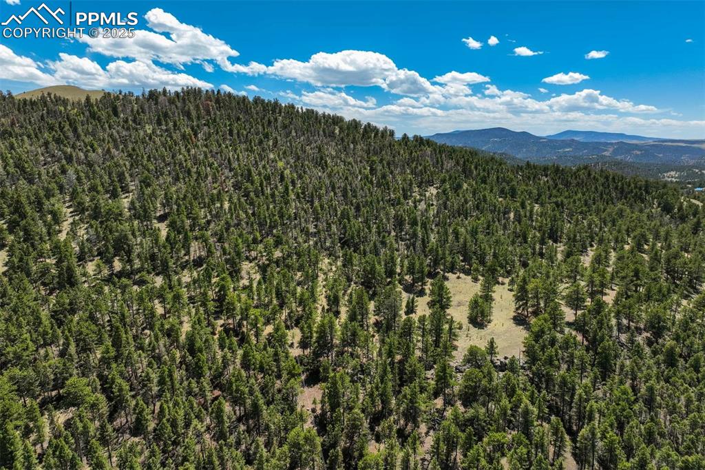 Image 11 of 36: View