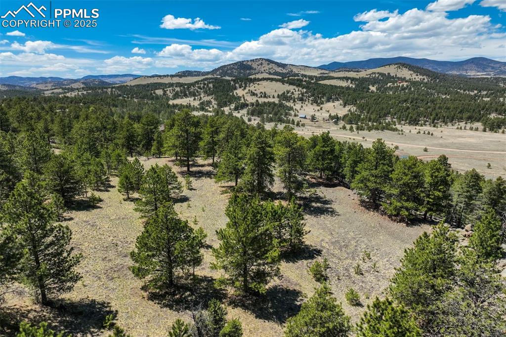 Image 13 of 36: View